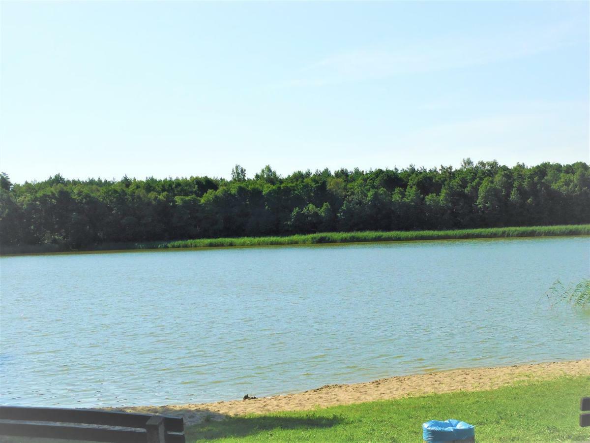 Ferienhaeuser Seewiesen Reimershagen エクステリア 写真